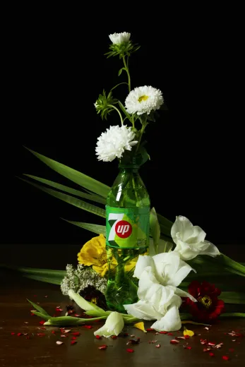 A description of my image.